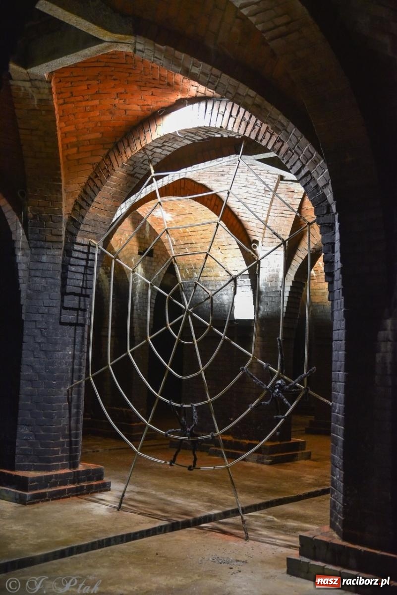 Zdjęcie w galerii na portalu naszraciborz.pl: Noc Muzeów w Wodociągach Raciborskich – wyjątkowe zwiedzanie miejskiej infrastruktury wiadomości z regionu