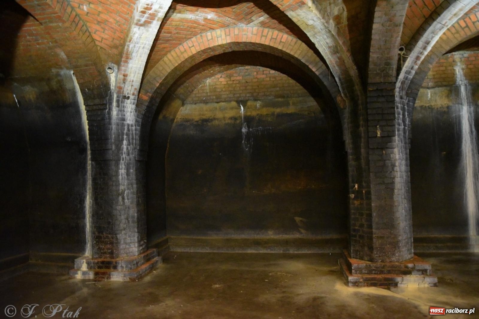 Zdjęcie w galerii na portalu naszraciborz.pl: Noc Muzeów w Wodociągach Raciborskich – wyjątkowe zwiedzanie miejskiej infrastruktury wiadomości z regionu