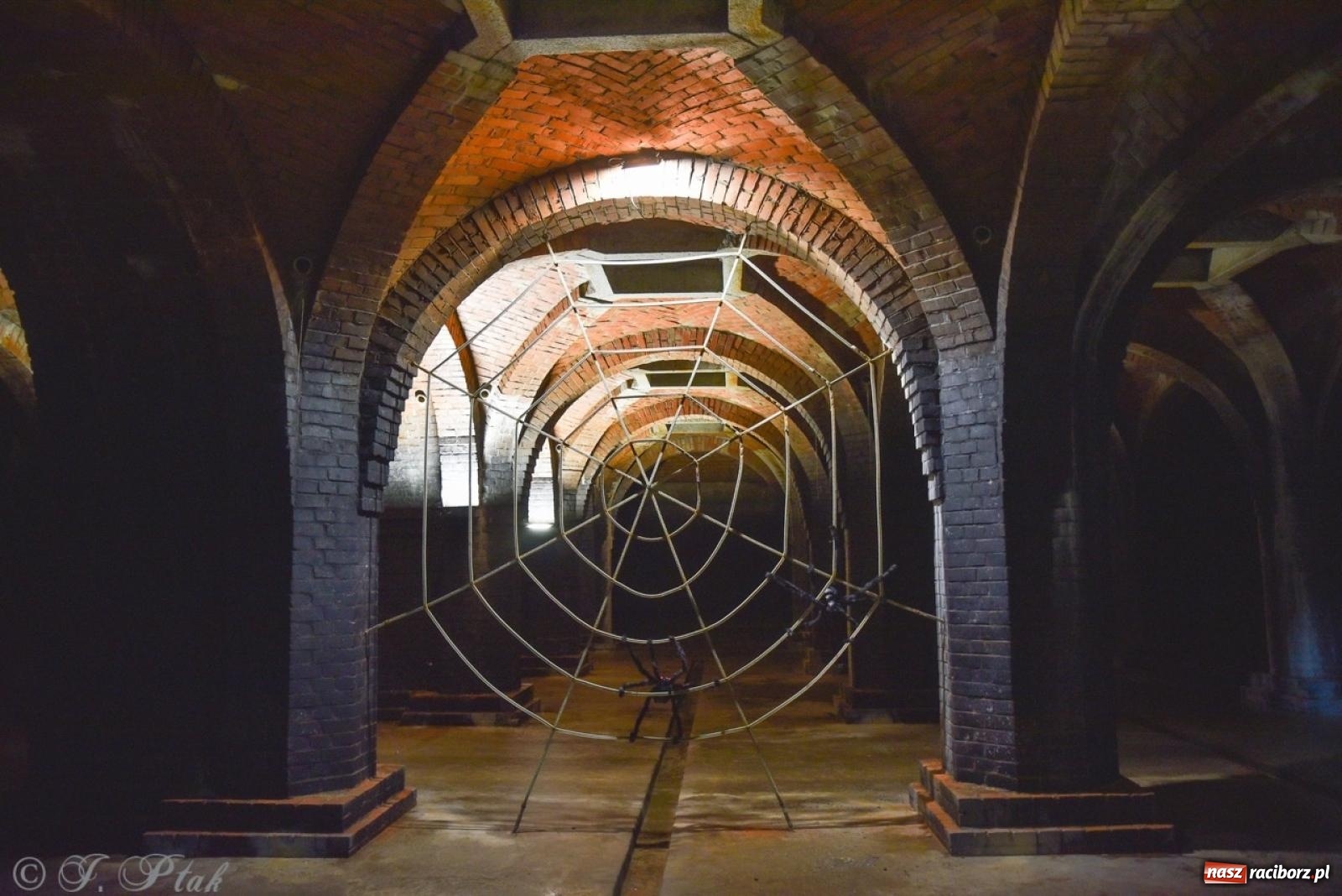 Zdjęcie w galerii na portalu naszraciborz.pl: Noc Muzeów w Wodociągach Raciborskich – wyjątkowe zwiedzanie miejskiej infrastruktury wiadomości z regionu