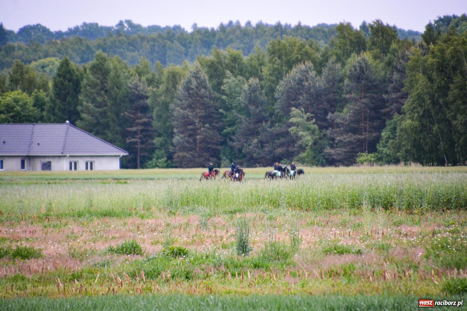 Zdjęcie w galerii na portalu naszraciborz.pl: Procesja św. Urbana w Kobyli odbyła się mimo deszczu. Wierni nie zawiedli wiadomości z regionu