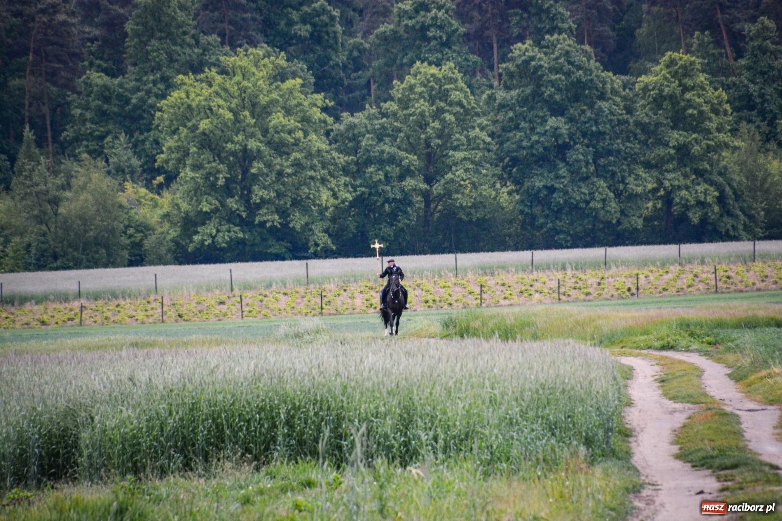 Zdjęcie w galerii na portalu naszraciborz.pl: Procesja św. Urbana w Kobyli odbyła się mimo deszczu. Wierni nie zawiedli wiadomości z regionu