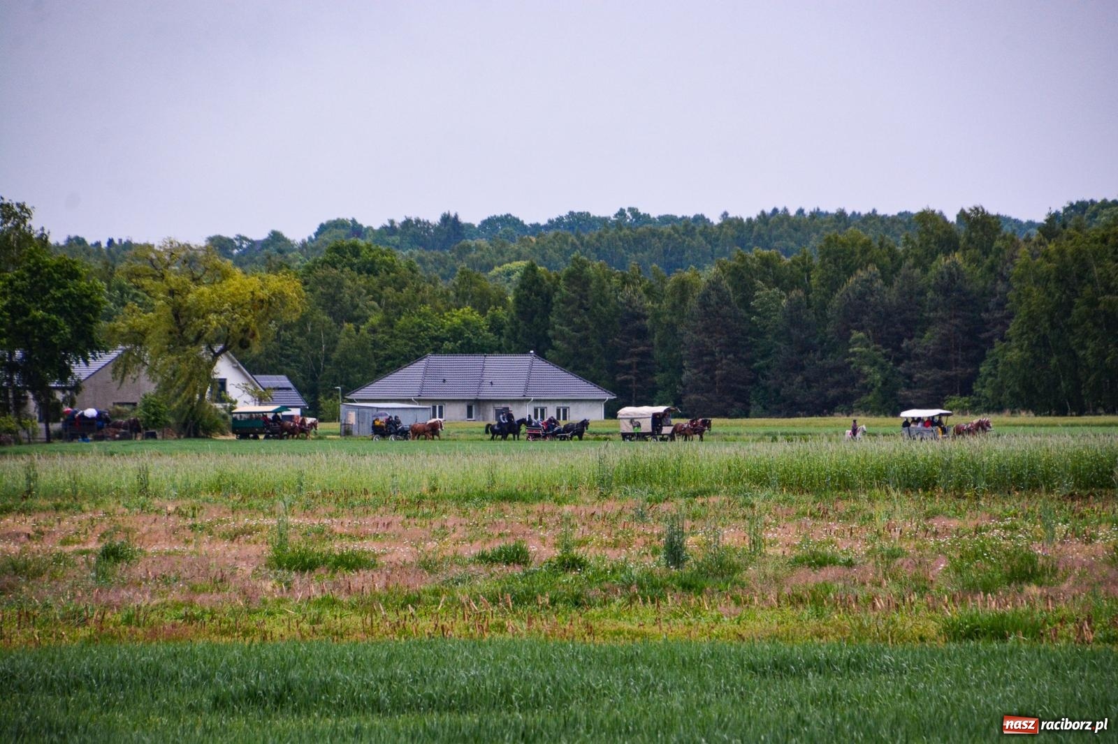 Zdjęcie w galerii na portalu naszraciborz.pl: Procesja św. Urbana w Kobyli odbyła się mimo deszczu. Wierni nie zawiedli wiadomości z regionu