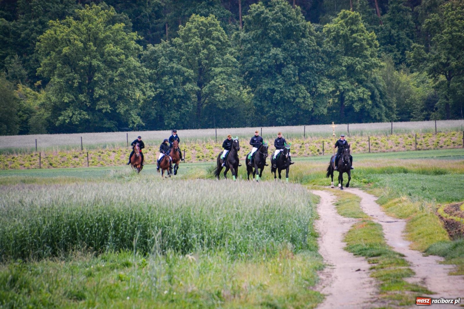 Zdjęcie w galerii na portalu naszraciborz.pl: Procesja św. Urbana w Kobyli odbyła się mimo deszczu. Wierni nie zawiedli wiadomości z regionu