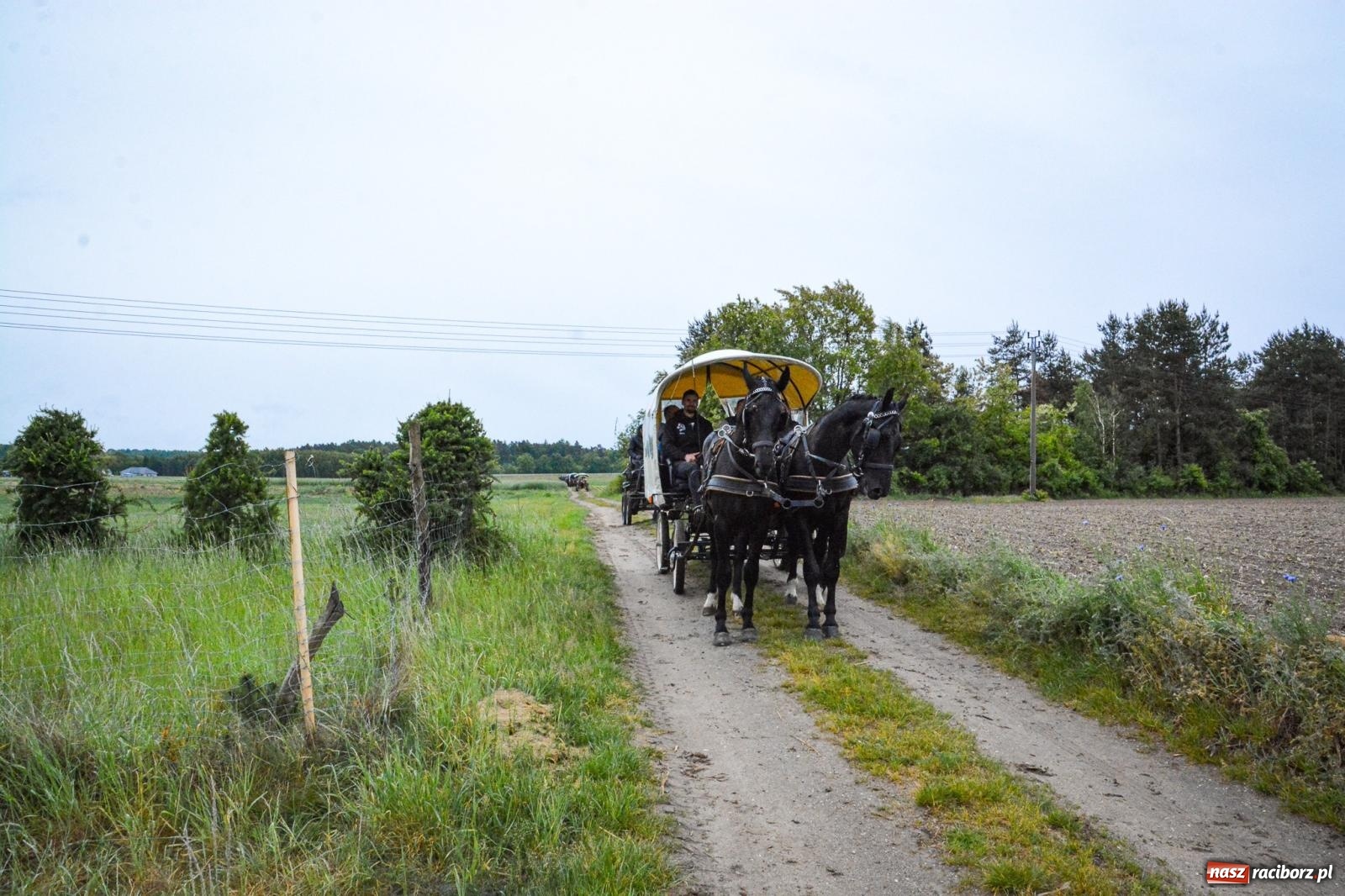Zdjęcie w galerii na portalu naszraciborz.pl: Procesja św. Urbana w Kobyli odbyła się mimo deszczu. Wierni nie zawiedli wiadomości z regionu