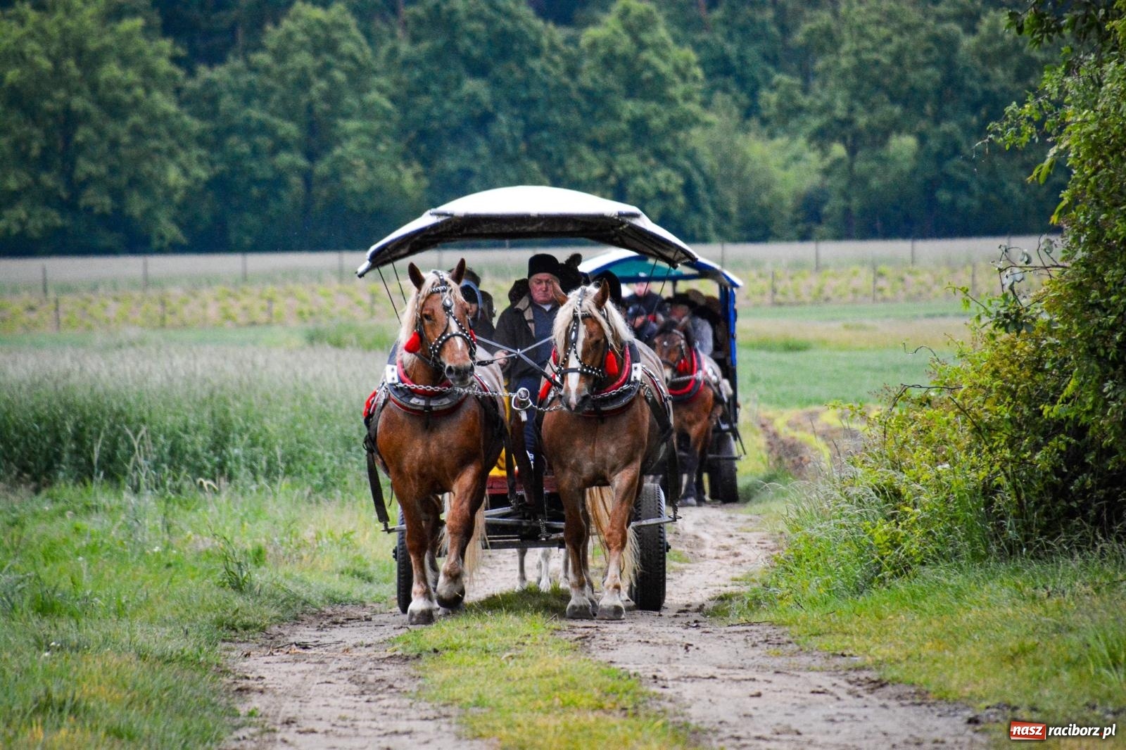Zdjęcie w galerii na portalu naszraciborz.pl: Procesja św. Urbana w Kobyli odbyła się mimo deszczu. Wierni nie zawiedli wiadomości z regionu