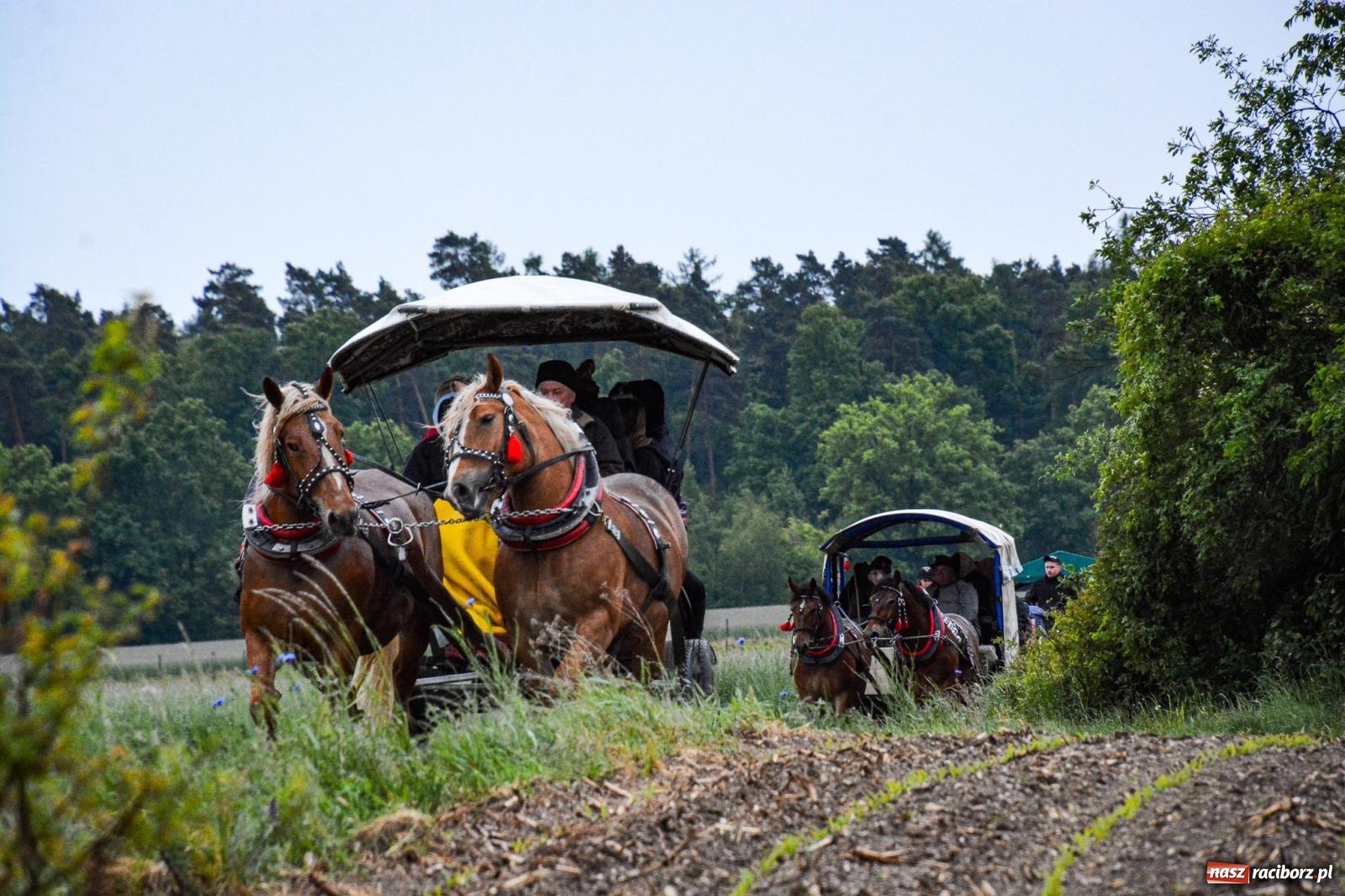 Zdjęcie w galerii na portalu naszraciborz.pl: Procesja św. Urbana w Kobyli odbyła się mimo deszczu. Wierni nie zawiedli wiadomości z regionu