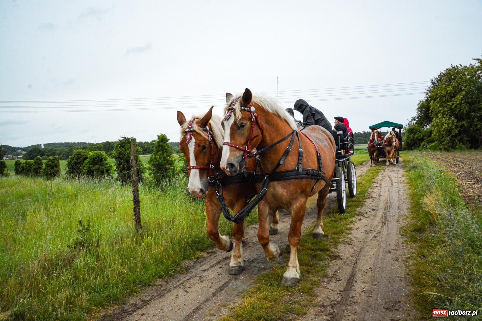 Zdjęcie w galerii na portalu naszraciborz.pl: Procesja św. Urbana w Kobyli odbyła się mimo deszczu. Wierni nie zawiedli wiadomości z regionu