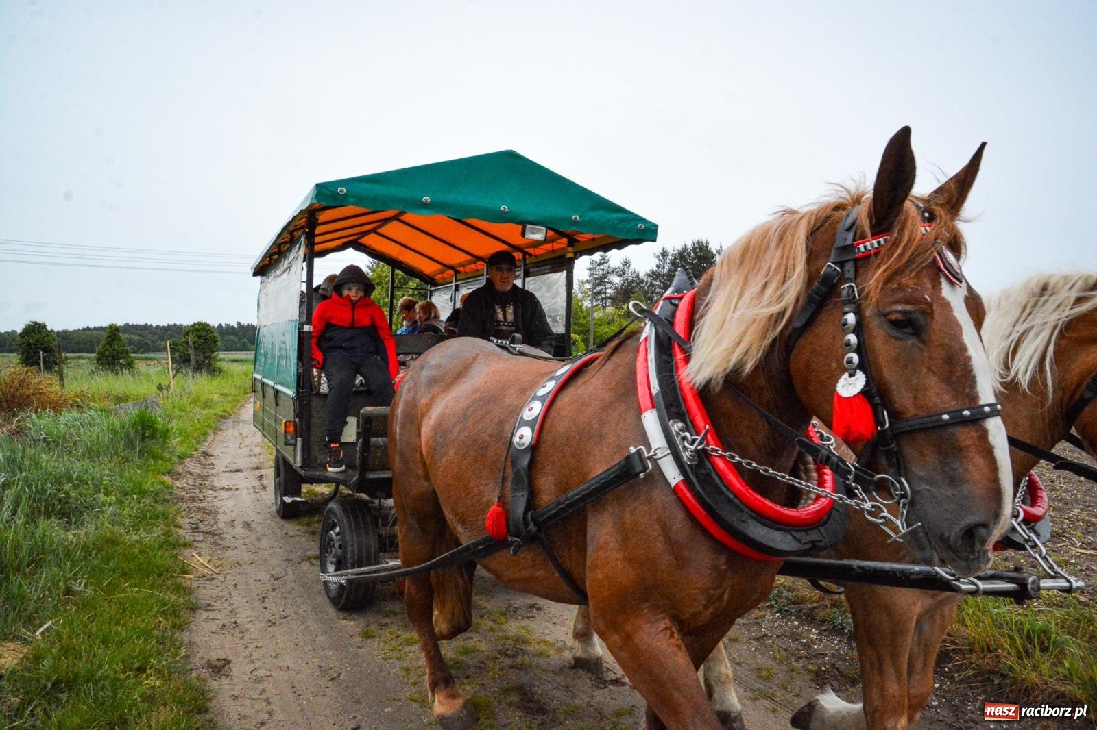 Zdjęcie w galerii na portalu naszraciborz.pl: Procesja św. Urbana w Kobyli odbyła się mimo deszczu. Wierni nie zawiedli wiadomości z regionu