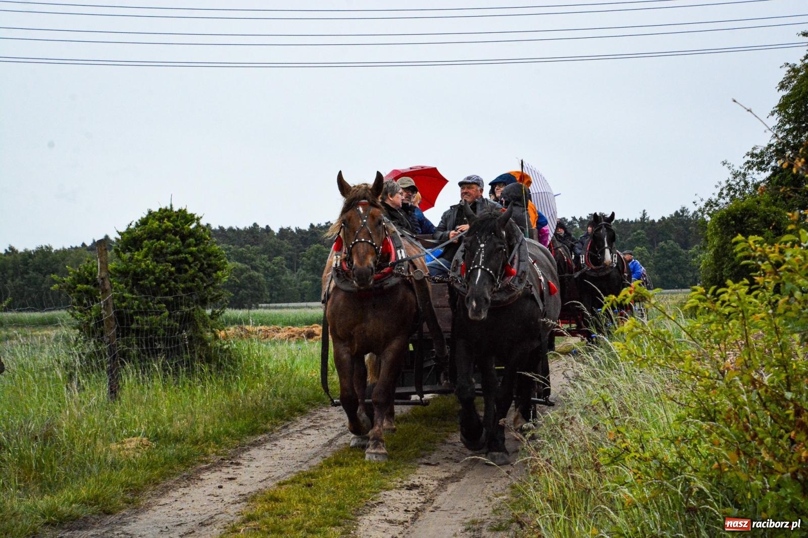 Zdjęcie w galerii na portalu naszraciborz.pl: Procesja św. Urbana w Kobyli odbyła się mimo deszczu. Wierni nie zawiedli wiadomości z regionu