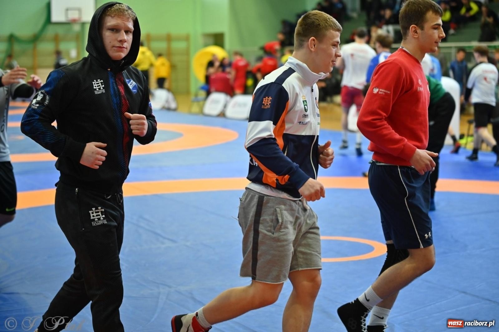 Zdjęcie w galerii na portalu naszraciborz.pl: Międzynarodowe starcie na matach. Racibórz gospodarzem Mistrzostw Polski Juniorów w zapasach klasycznych wiadomości z regionu