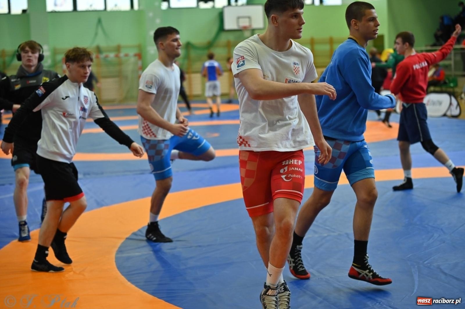 Zdjęcie w galerii na portalu naszraciborz.pl: Międzynarodowe starcie na matach. Racibórz gospodarzem Mistrzostw Polski Juniorów w zapasach klasycznych wiadomości z regionu