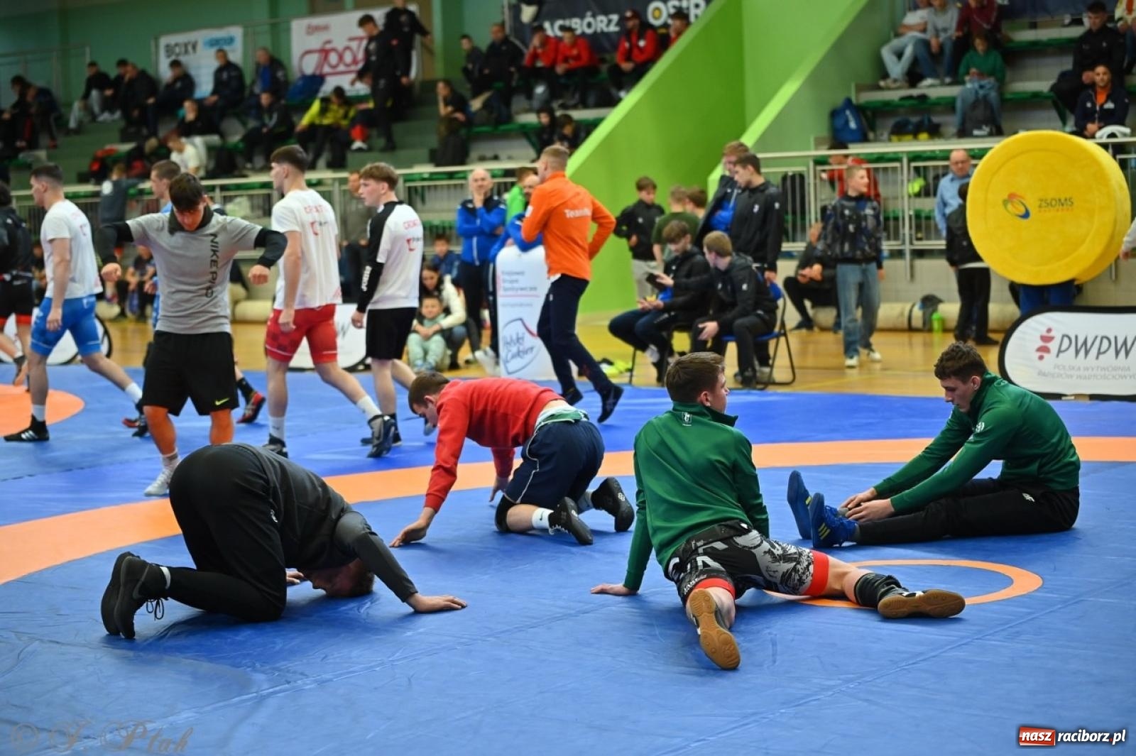 Zdjęcie w galerii na portalu naszraciborz.pl: Międzynarodowe starcie na matach. Racibórz gospodarzem Mistrzostw Polski Juniorów w zapasach klasycznych wiadomości z regionu