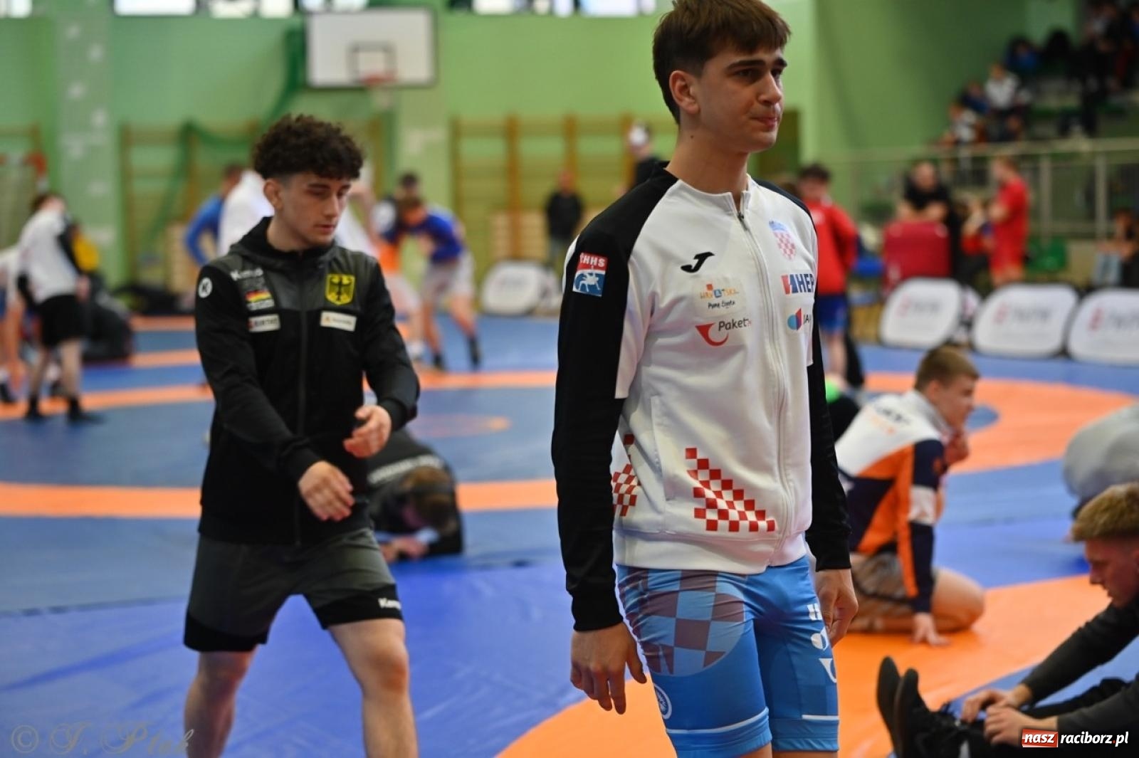 Zdjęcie w galerii na portalu naszraciborz.pl: Międzynarodowe starcie na matach. Racibórz gospodarzem Mistrzostw Polski Juniorów w zapasach klasycznych wiadomości z regionu