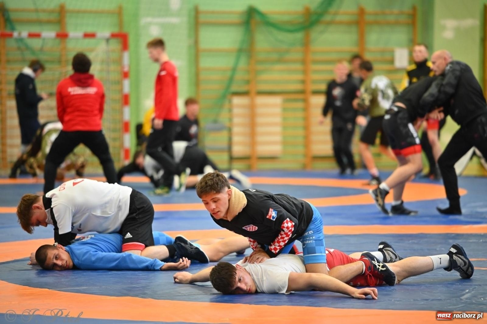 Zdjęcie w galerii na portalu naszraciborz.pl: Międzynarodowe starcie na matach. Racibórz gospodarzem Mistrzostw Polski Juniorów w zapasach klasycznych wiadomości z regionu