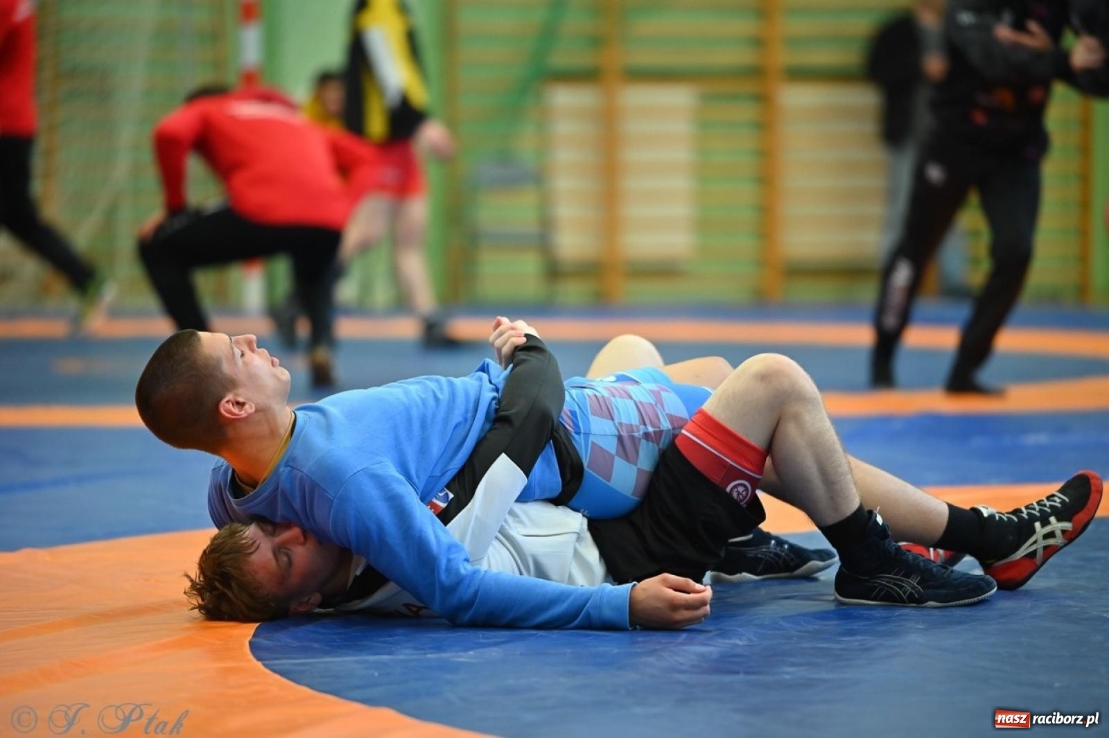 Zdjęcie w galerii na portalu naszraciborz.pl: Międzynarodowe starcie na matach. Racibórz gospodarzem Mistrzostw Polski Juniorów w zapasach klasycznych wiadomości z regionu
