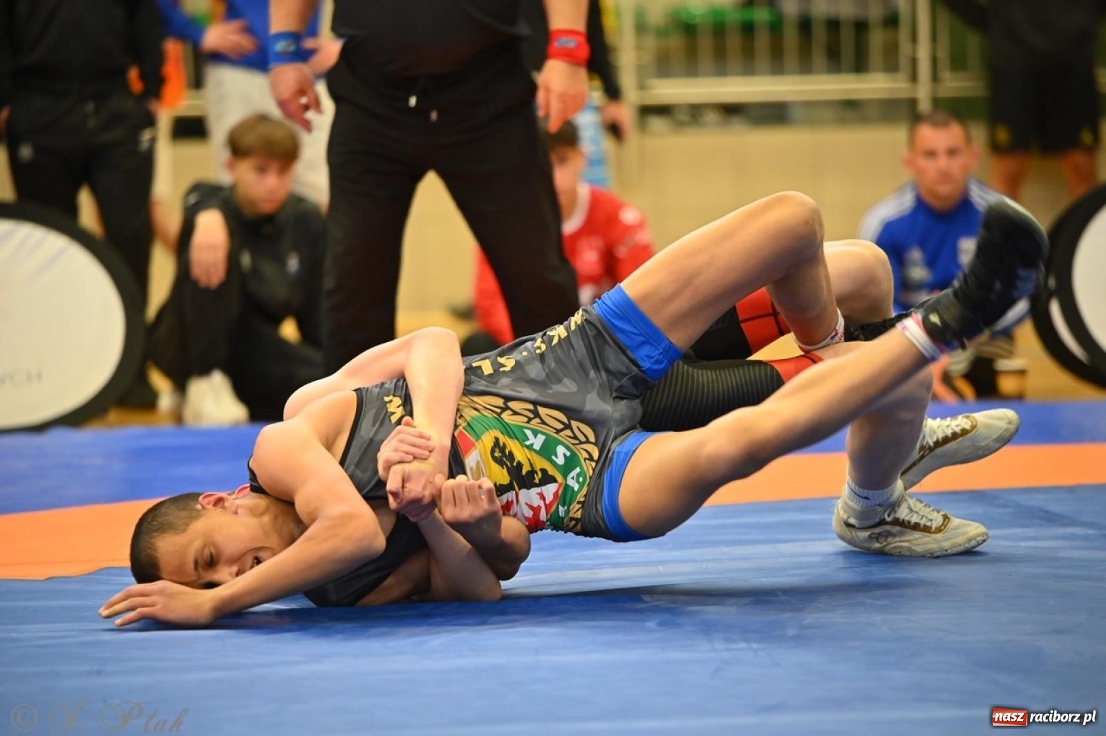 Zdjęcie w galerii na portalu naszraciborz.pl: Międzynarodowe starcie na matach. Racibórz gospodarzem Mistrzostw Polski Juniorów w zapasach klasycznych wiadomości z regionu