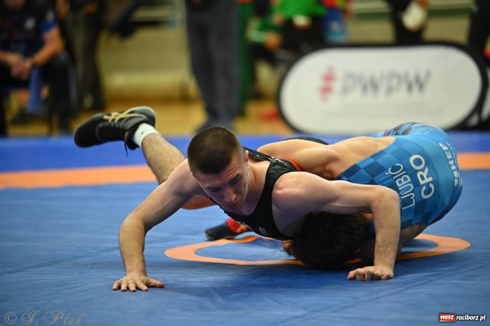 Zdjęcie w galerii na portalu naszraciborz.pl: Międzynarodowe starcie na matach. Racibórz gospodarzem Mistrzostw Polski Juniorów w zapasach klasycznych wiadomości z regionu