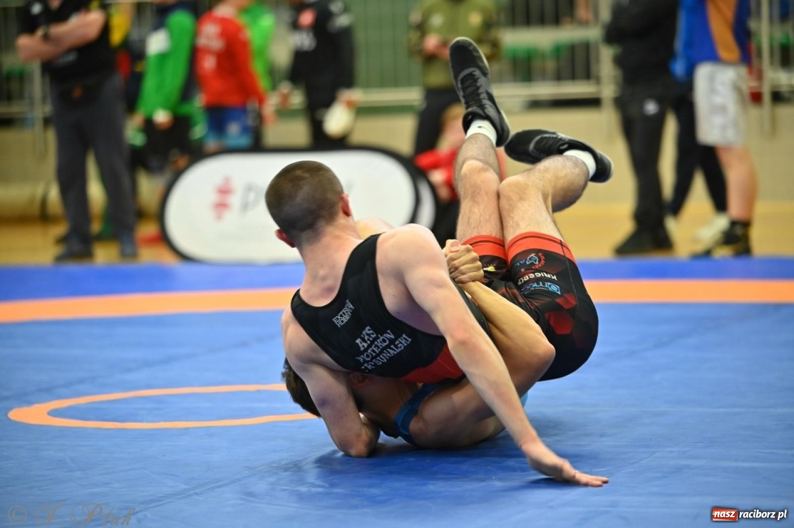Zdjęcie w galerii na portalu naszraciborz.pl: Międzynarodowe starcie na matach. Racibórz gospodarzem Mistrzostw Polski Juniorów w zapasach klasycznych wiadomości z regionu