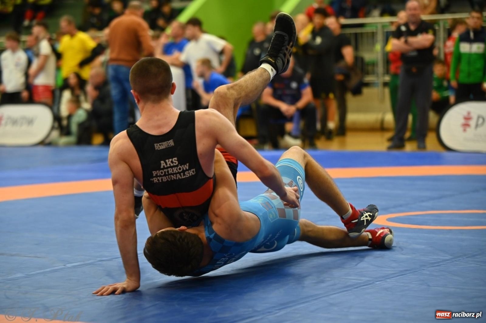 Zdjęcie w galerii na portalu naszraciborz.pl: Międzynarodowe starcie na matach. Racibórz gospodarzem Mistrzostw Polski Juniorów w zapasach klasycznych wiadomości z regionu