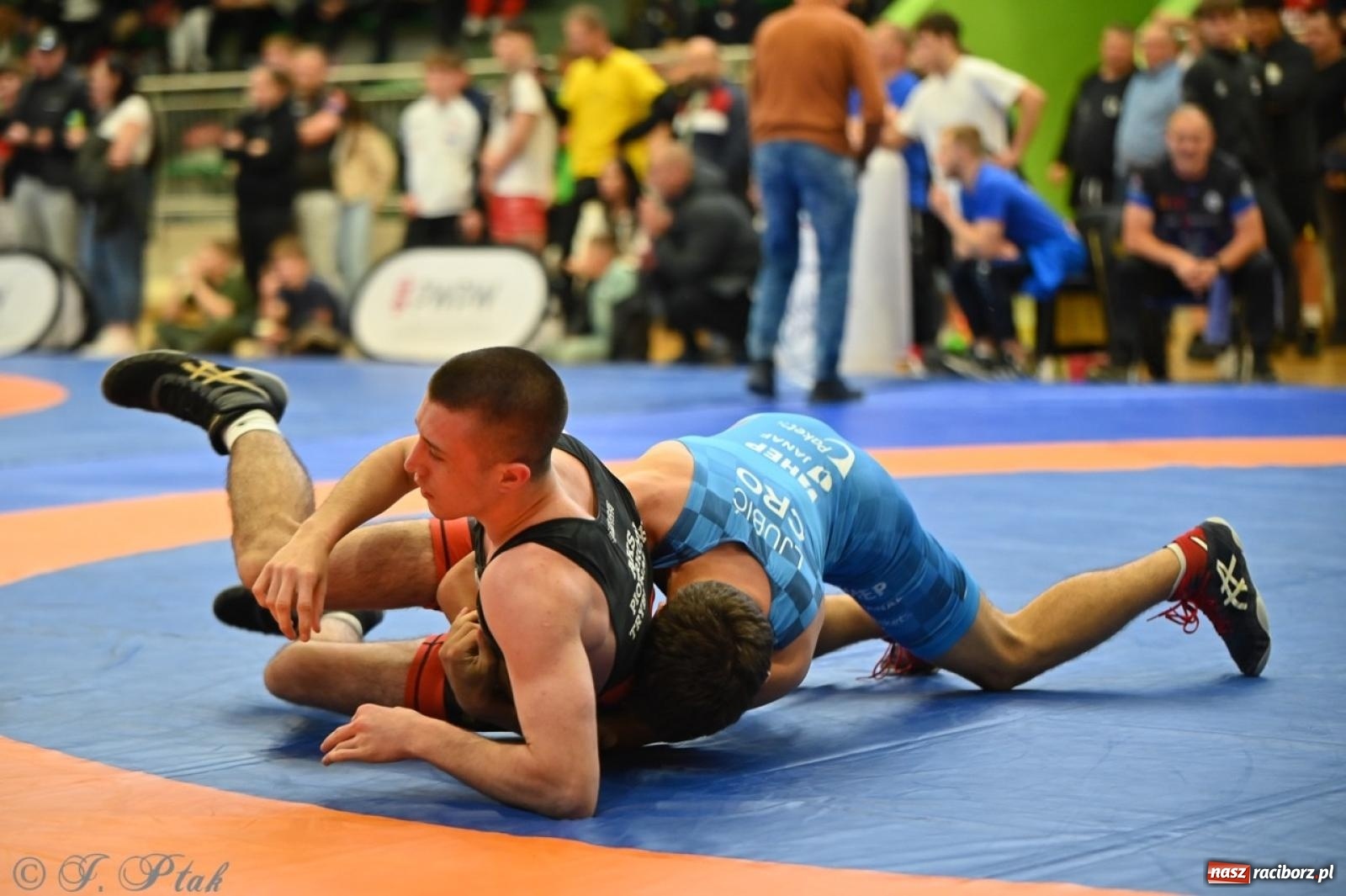 Zdjęcie w galerii na portalu naszraciborz.pl: Międzynarodowe starcie na matach. Racibórz gospodarzem Mistrzostw Polski Juniorów w zapasach klasycznych wiadomości z regionu