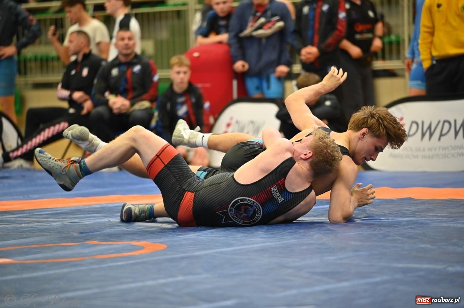 Zdjęcie w galerii na portalu naszraciborz.pl: Międzynarodowe starcie na matach. Racibórz gospodarzem Mistrzostw Polski Juniorów w zapasach klasycznych wiadomości z regionu