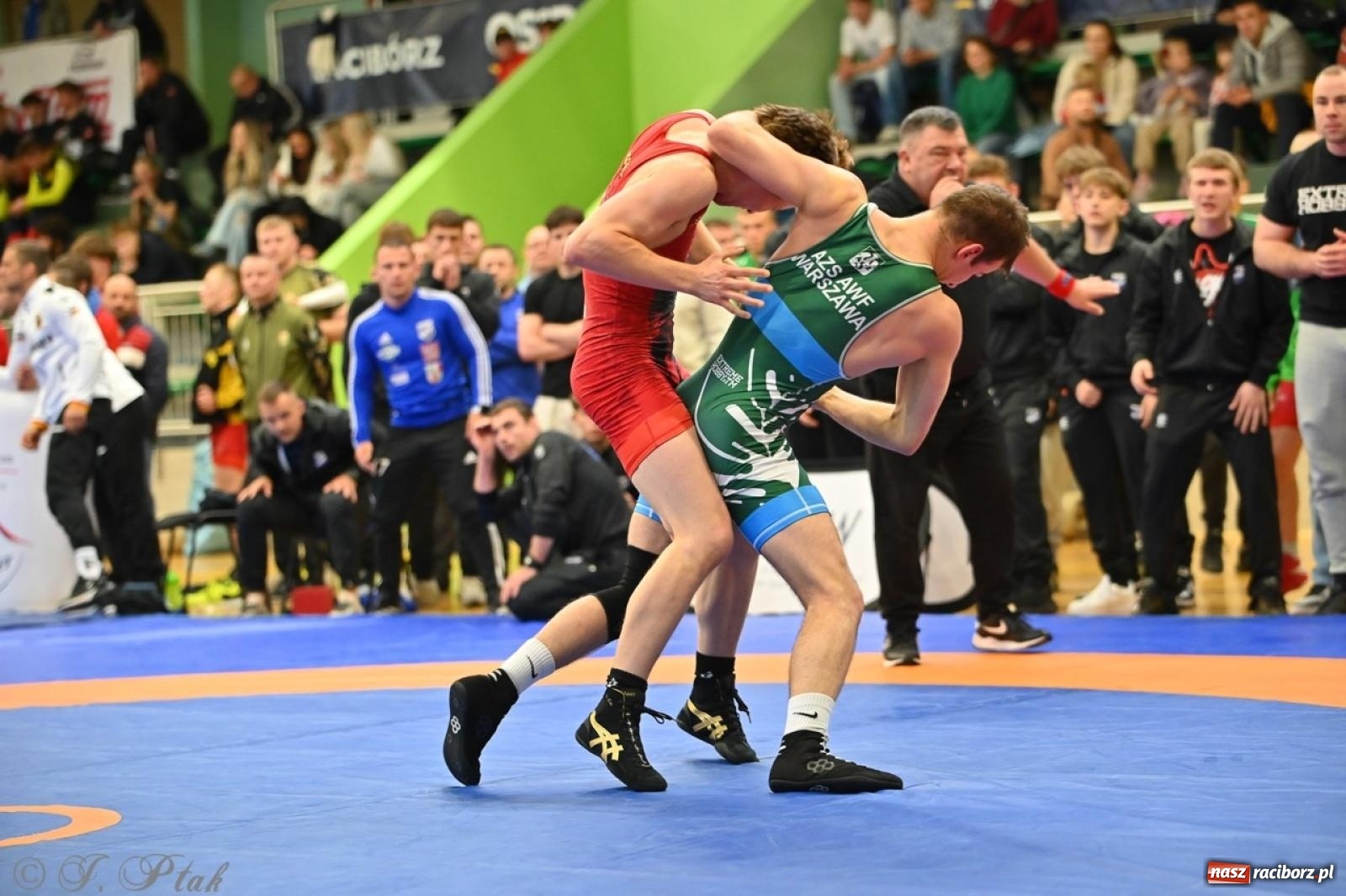 Zdjęcie w galerii na portalu naszraciborz.pl: Międzynarodowe starcie na matach. Racibórz gospodarzem Mistrzostw Polski Juniorów w zapasach klasycznych wiadomości z regionu