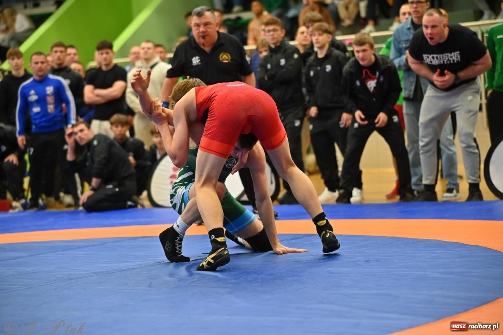 Zdjęcie w galerii na portalu naszraciborz.pl: Międzynarodowe starcie na matach. Racibórz gospodarzem Mistrzostw Polski Juniorów w zapasach klasycznych wiadomości z regionu