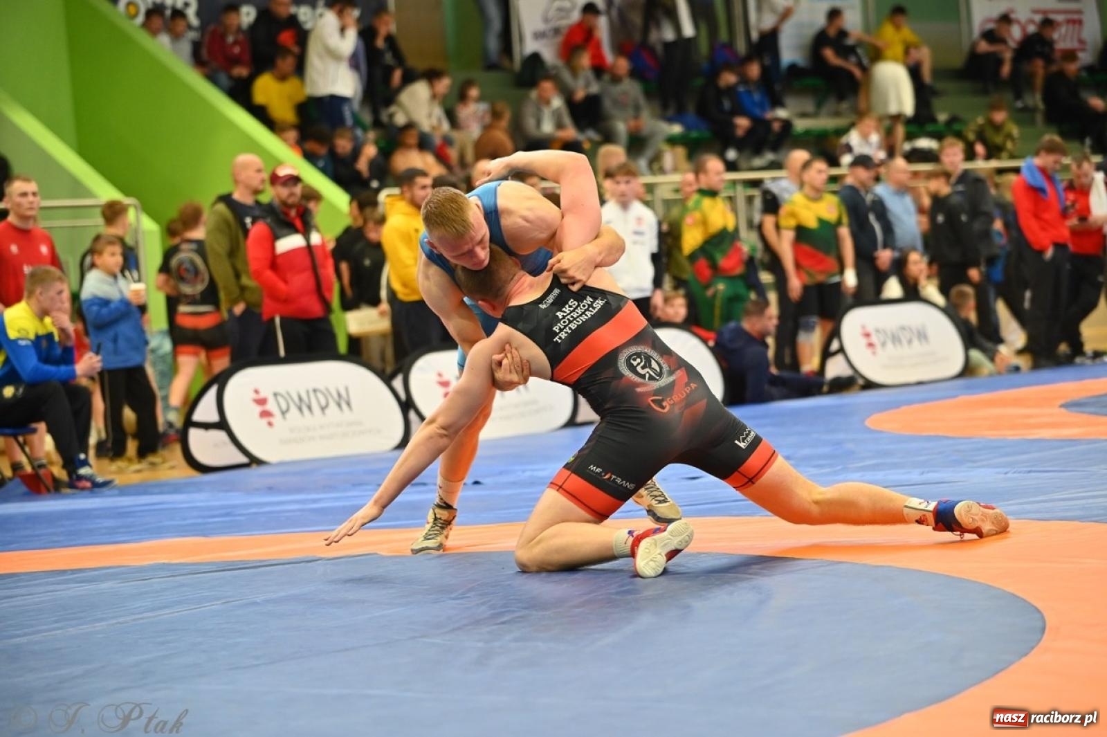 Zdjęcie w galerii na portalu naszraciborz.pl: Międzynarodowe starcie na matach. Racibórz gospodarzem Mistrzostw Polski Juniorów w zapasach klasycznych wiadomości z regionu