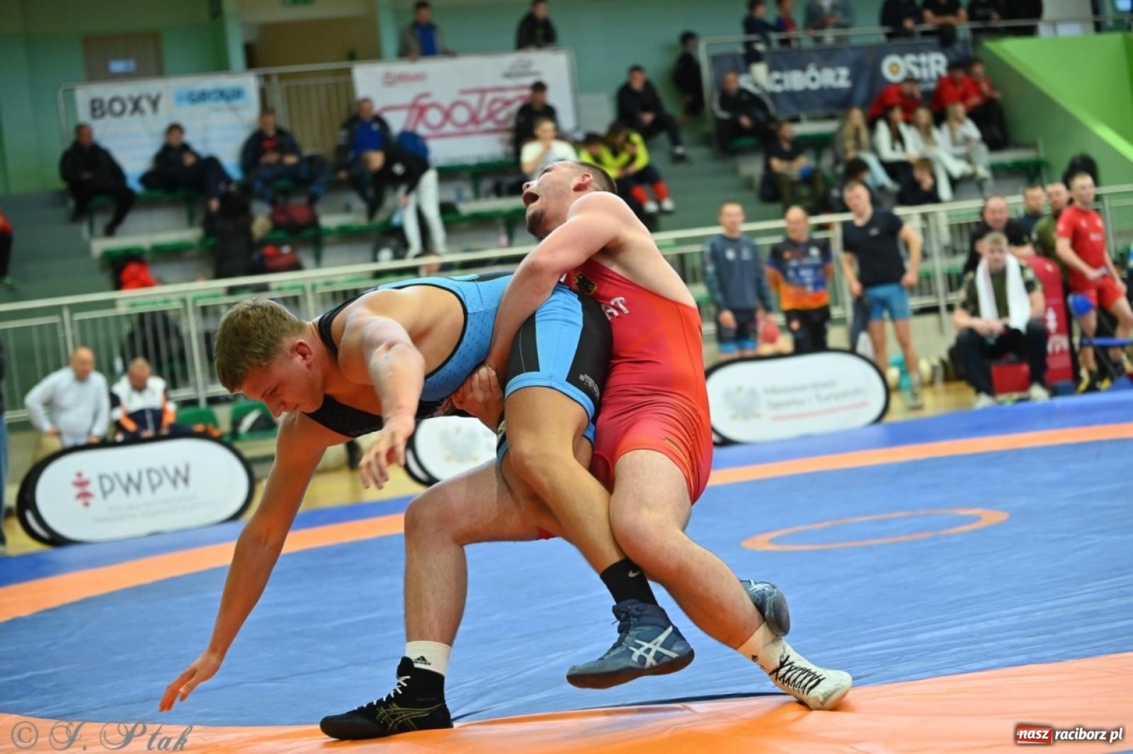 Zdjęcie w galerii na portalu naszraciborz.pl: Międzynarodowe starcie na matach. Racibórz gospodarzem Mistrzostw Polski Juniorów w zapasach klasycznych wiadomości z regionu