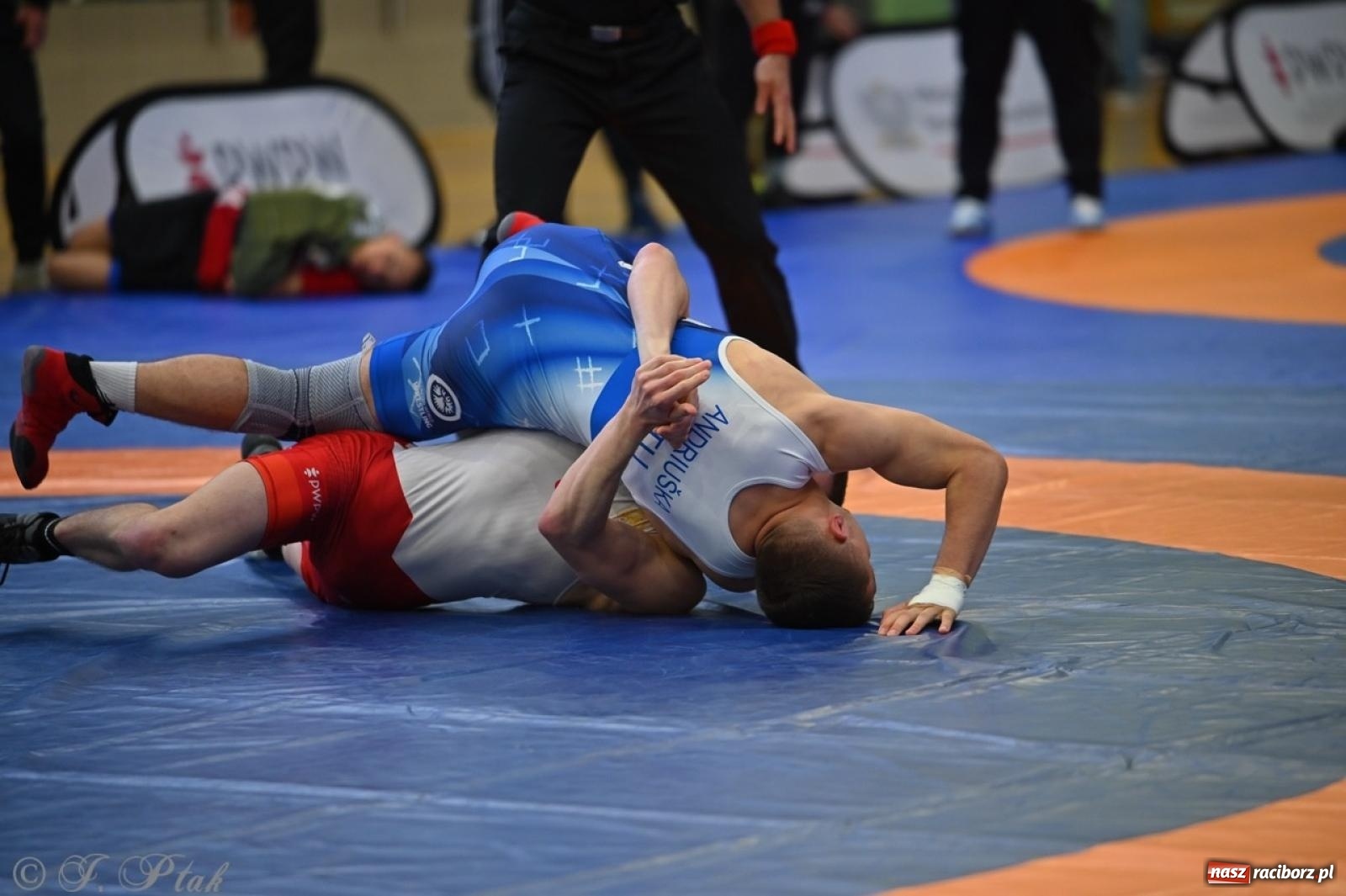 Zdjęcie w galerii na portalu naszraciborz.pl: Międzynarodowe starcie na matach. Racibórz gospodarzem Mistrzostw Polski Juniorów w zapasach klasycznych wiadomości z regionu