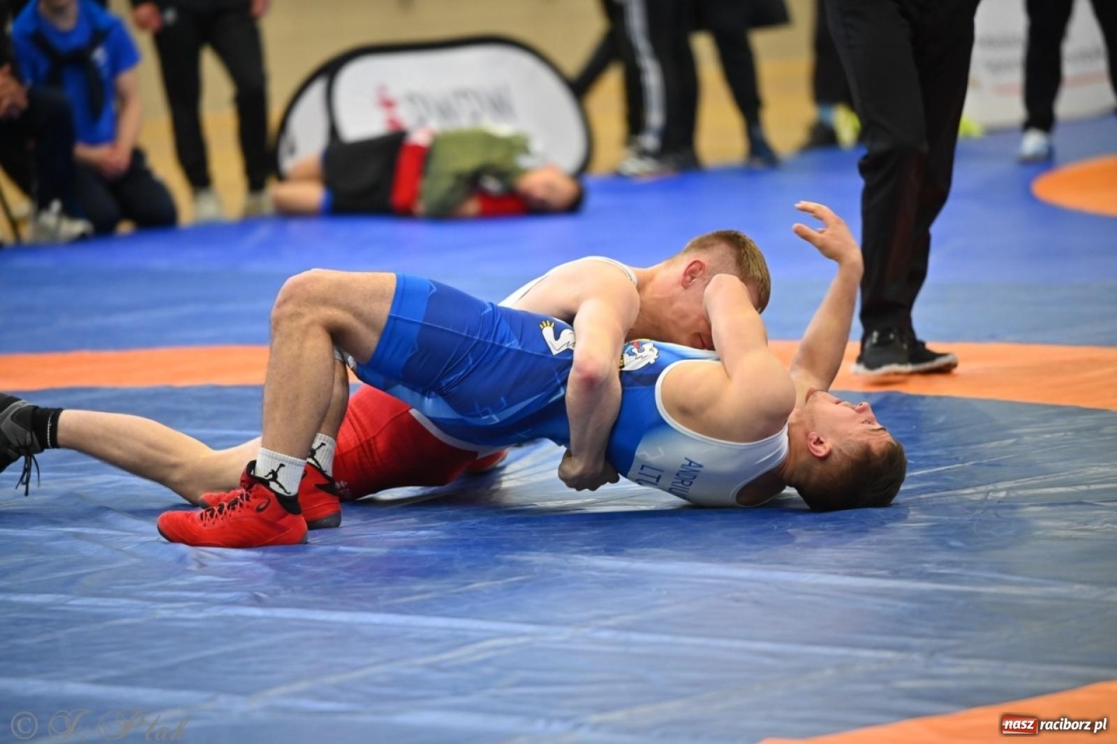Zdjęcie w galerii na portalu naszraciborz.pl: Międzynarodowe starcie na matach. Racibórz gospodarzem Mistrzostw Polski Juniorów w zapasach klasycznych wiadomości z regionu