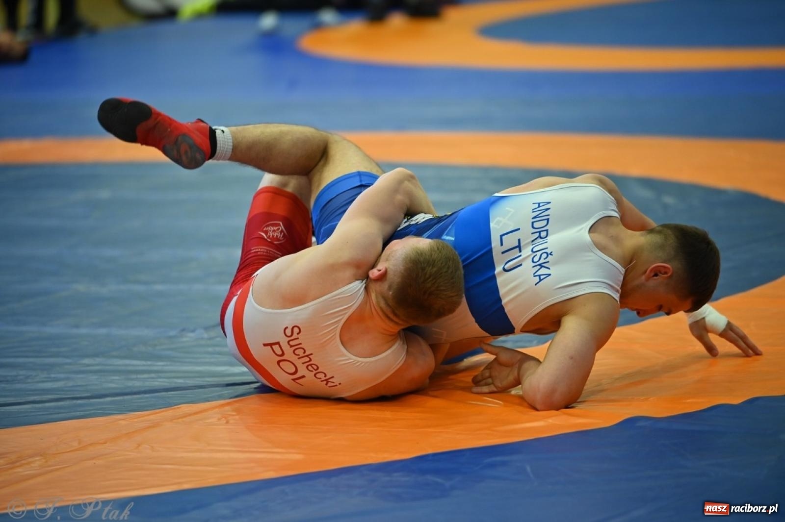 Zdjęcie w galerii na portalu naszraciborz.pl: Międzynarodowe starcie na matach. Racibórz gospodarzem Mistrzostw Polski Juniorów w zapasach klasycznych wiadomości z regionu