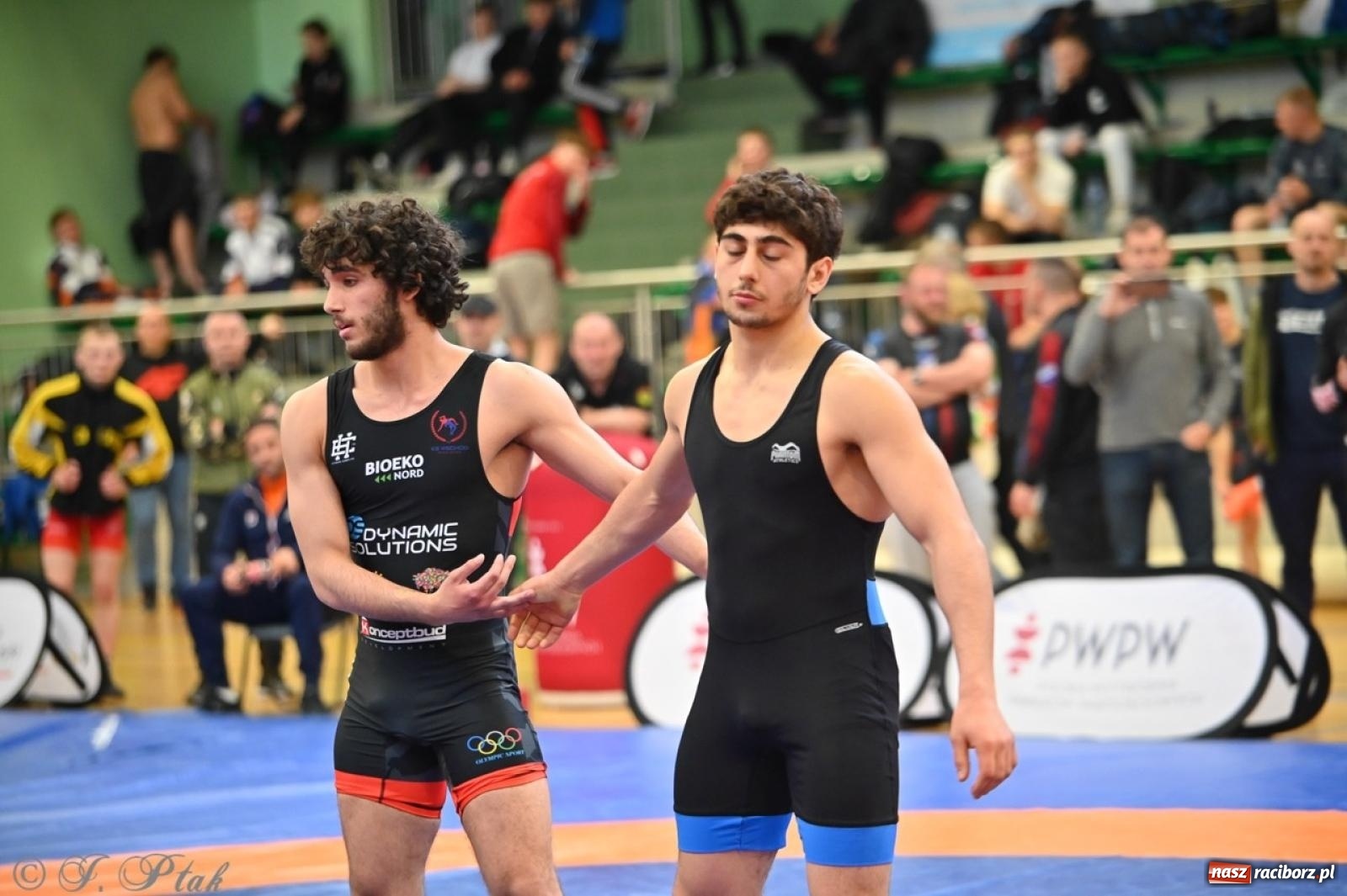 Zdjęcie w galerii na portalu naszraciborz.pl: Międzynarodowe starcie na matach. Racibórz gospodarzem Mistrzostw Polski Juniorów w zapasach klasycznych wiadomości z regionu