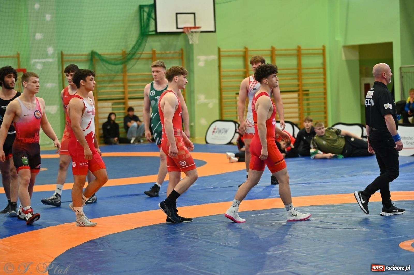 Zdjęcie w galerii na portalu naszraciborz.pl: Międzynarodowe starcie na matach. Racibórz gospodarzem Mistrzostw Polski Juniorów w zapasach klasycznych wiadomości z regionu