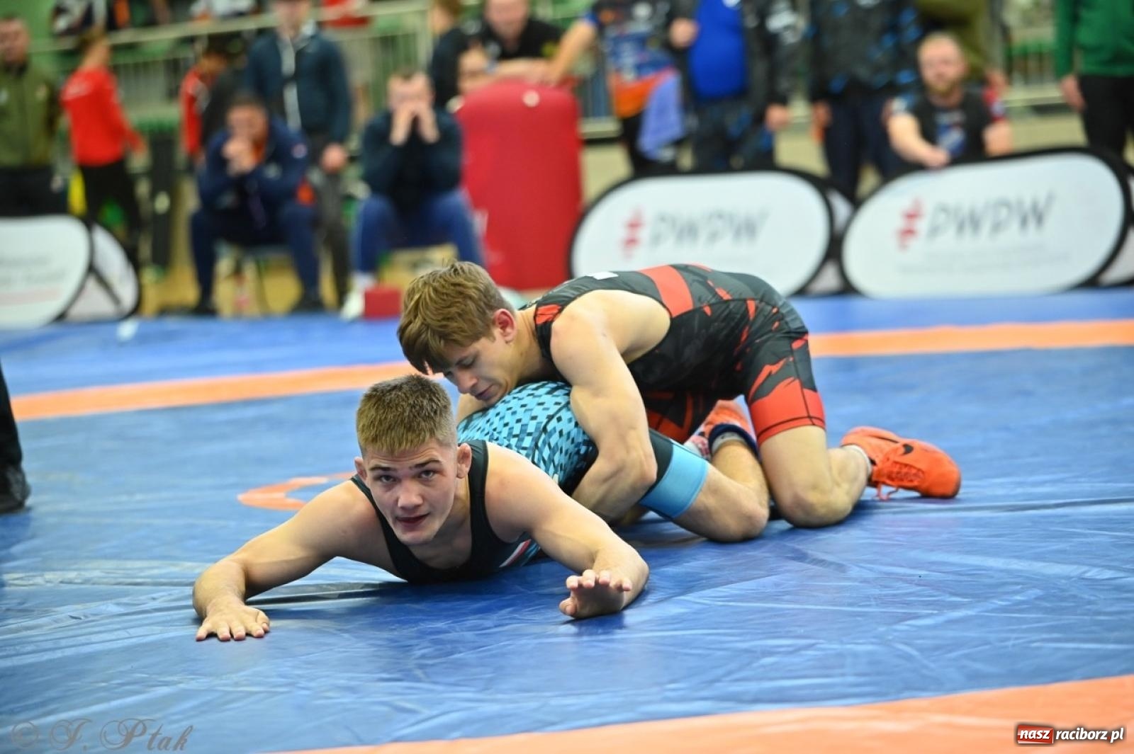 Zdjęcie w galerii na portalu naszraciborz.pl: Międzynarodowe starcie na matach. Racibórz gospodarzem Mistrzostw Polski Juniorów w zapasach klasycznych wiadomości z regionu