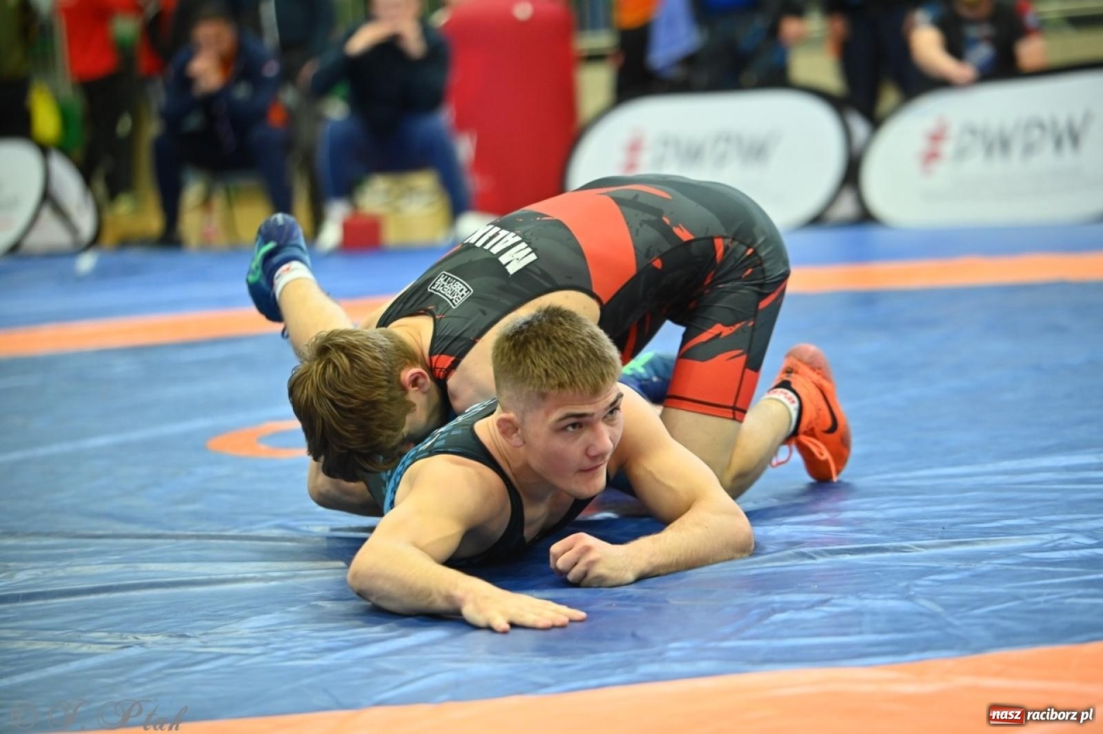Zdjęcie w galerii na portalu naszraciborz.pl: Międzynarodowe starcie na matach. Racibórz gospodarzem Mistrzostw Polski Juniorów w zapasach klasycznych wiadomości z regionu