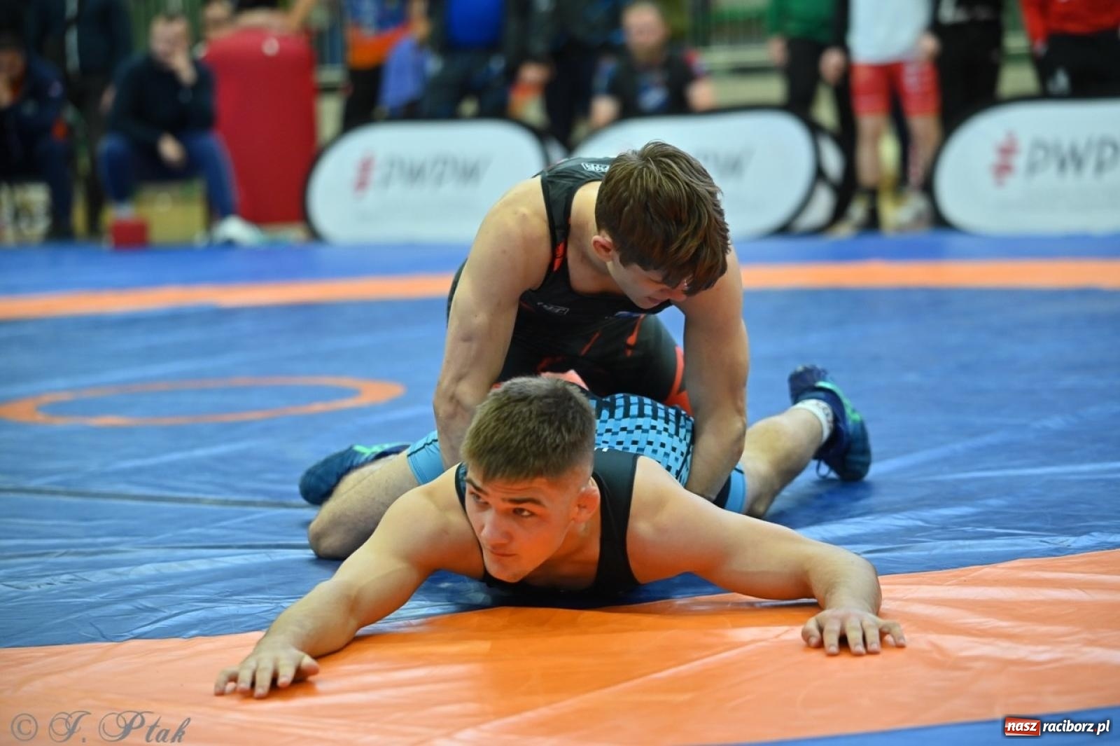 Zdjęcie w galerii na portalu naszraciborz.pl: Międzynarodowe starcie na matach. Racibórz gospodarzem Mistrzostw Polski Juniorów w zapasach klasycznych wiadomości z regionu
