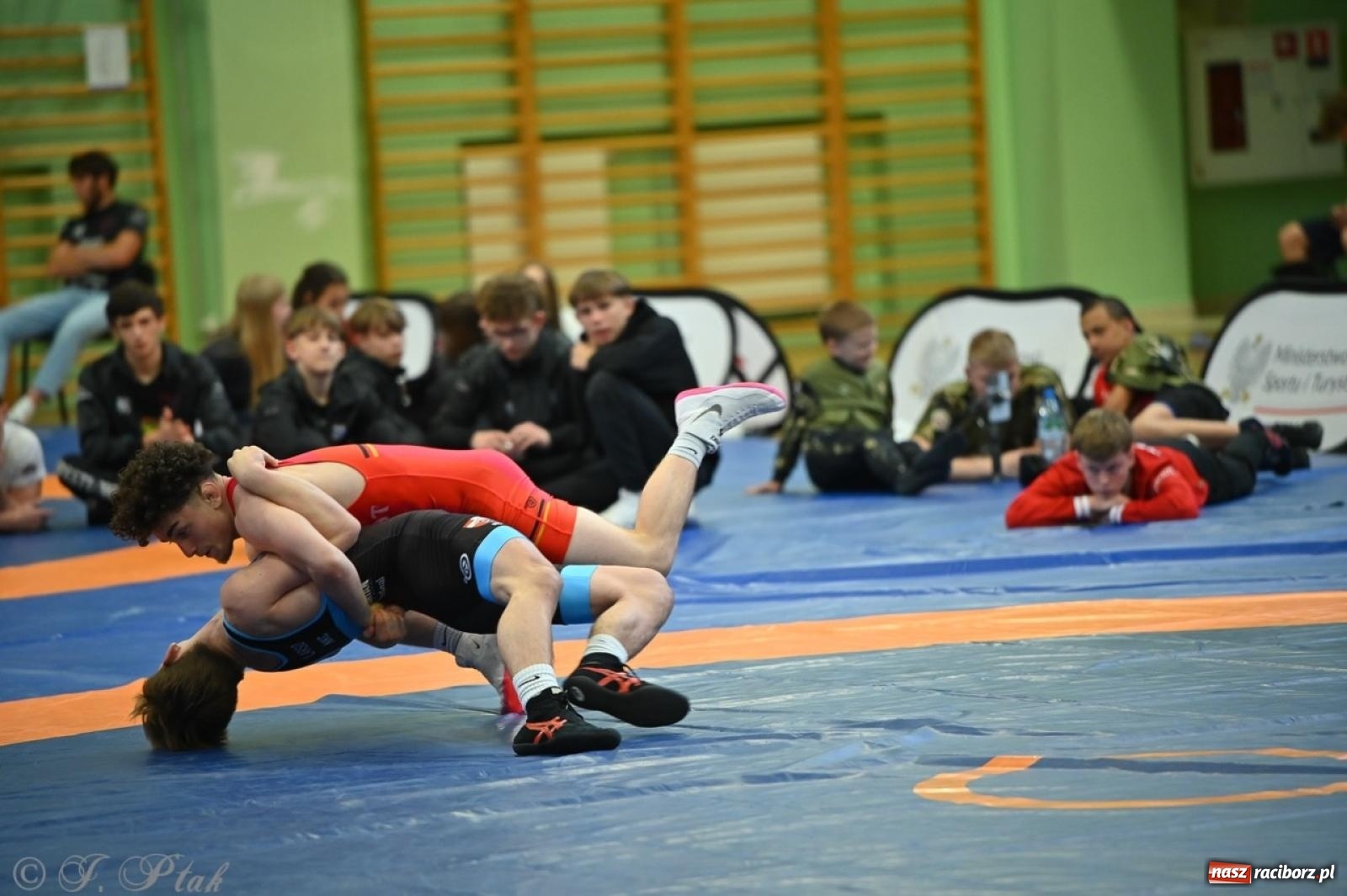 Zdjęcie w galerii na portalu naszraciborz.pl: Międzynarodowe starcie na matach. Racibórz gospodarzem Mistrzostw Polski Juniorów w zapasach klasycznych wiadomości z regionu