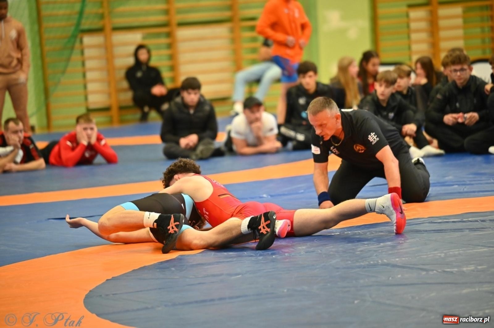 Zdjęcie w galerii na portalu naszraciborz.pl: Międzynarodowe starcie na matach. Racibórz gospodarzem Mistrzostw Polski Juniorów w zapasach klasycznych wiadomości z regionu