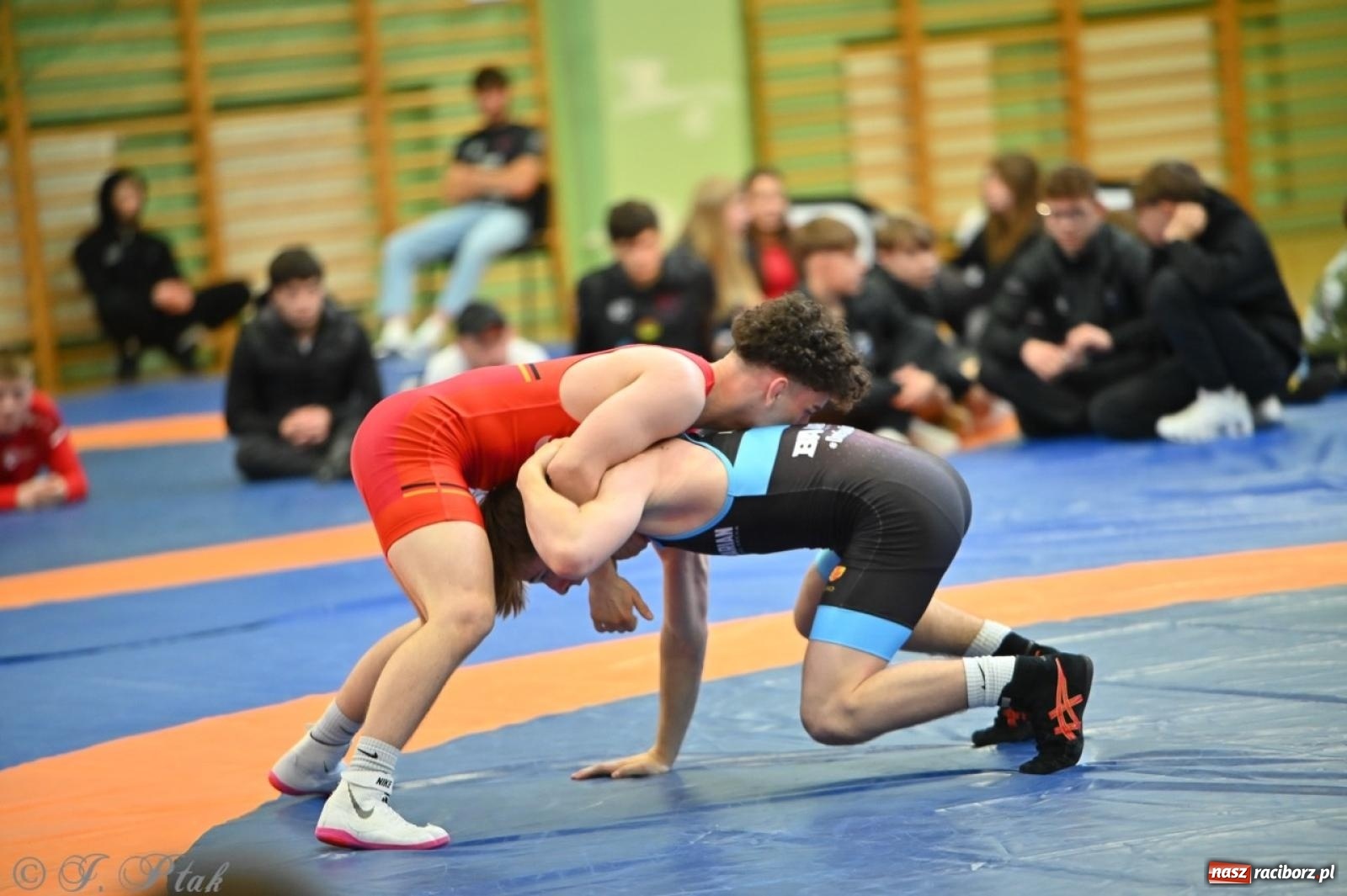 Zdjęcie w galerii na portalu naszraciborz.pl: Międzynarodowe starcie na matach. Racibórz gospodarzem Mistrzostw Polski Juniorów w zapasach klasycznych wiadomości z regionu