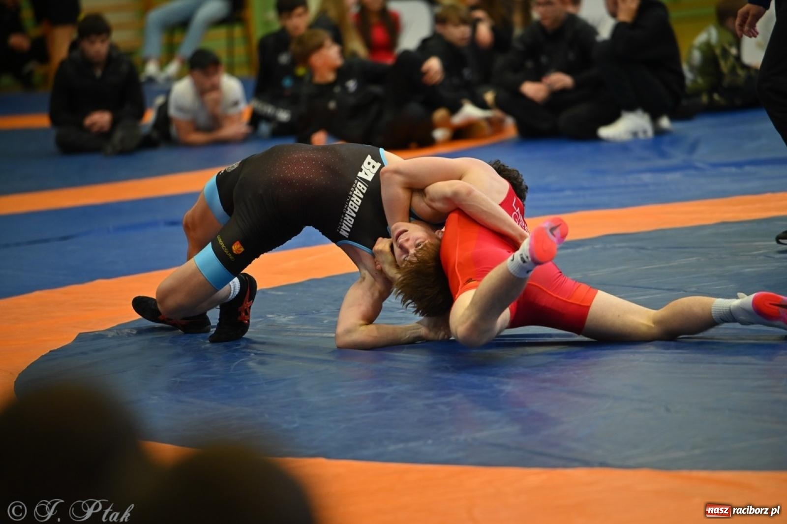 Zdjęcie w galerii na portalu naszraciborz.pl: Międzynarodowe starcie na matach. Racibórz gospodarzem Mistrzostw Polski Juniorów w zapasach klasycznych wiadomości z regionu