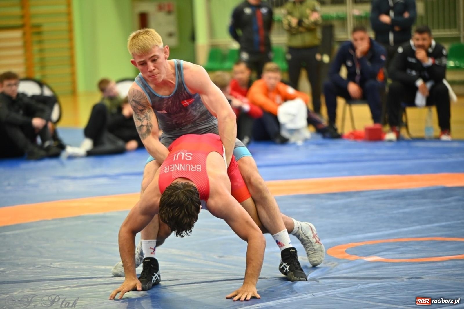Zdjęcie w galerii na portalu naszraciborz.pl: Międzynarodowe starcie na matach. Racibórz gospodarzem Mistrzostw Polski Juniorów w zapasach klasycznych wiadomości z regionu