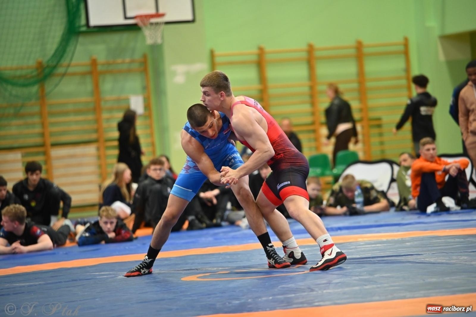 Zdjęcie w galerii na portalu naszraciborz.pl: Międzynarodowe starcie na matach. Racibórz gospodarzem Mistrzostw Polski Juniorów w zapasach klasycznych wiadomości z regionu