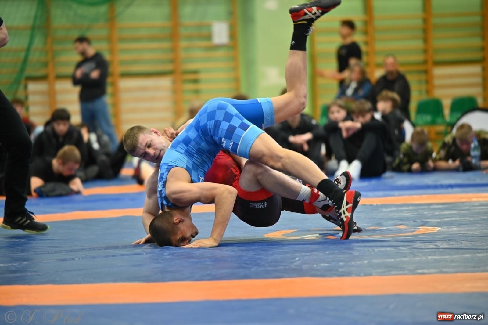 Zdjęcie w galerii na portalu naszraciborz.pl: Międzynarodowe starcie na matach. Racibórz gospodarzem Mistrzostw Polski Juniorów w zapasach klasycznych wiadomości z regionu