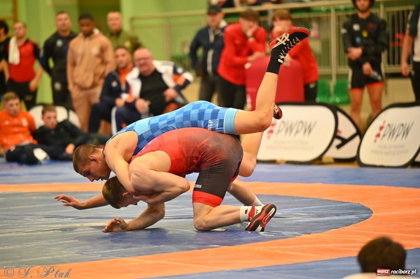 Zdjęcie w galerii na portalu naszraciborz.pl: Międzynarodowe starcie na matach. Racibórz gospodarzem Mistrzostw Polski Juniorów w zapasach klasycznych wiadomości z regionu
