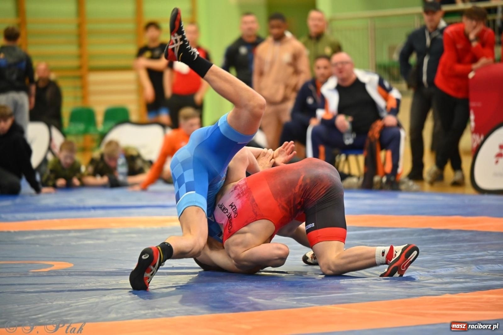 Zdjęcie w galerii na portalu naszraciborz.pl: Międzynarodowe starcie na matach. Racibórz gospodarzem Mistrzostw Polski Juniorów w zapasach klasycznych wiadomości z regionu
