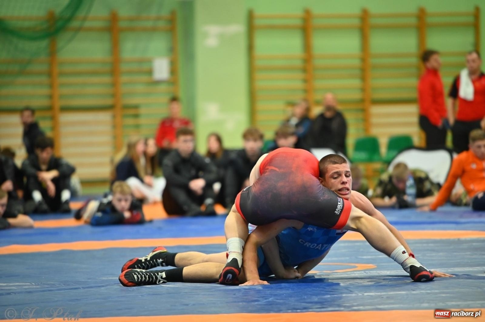 Zdjęcie w galerii na portalu naszraciborz.pl: Międzynarodowe starcie na matach. Racibórz gospodarzem Mistrzostw Polski Juniorów w zapasach klasycznych wiadomości z regionu