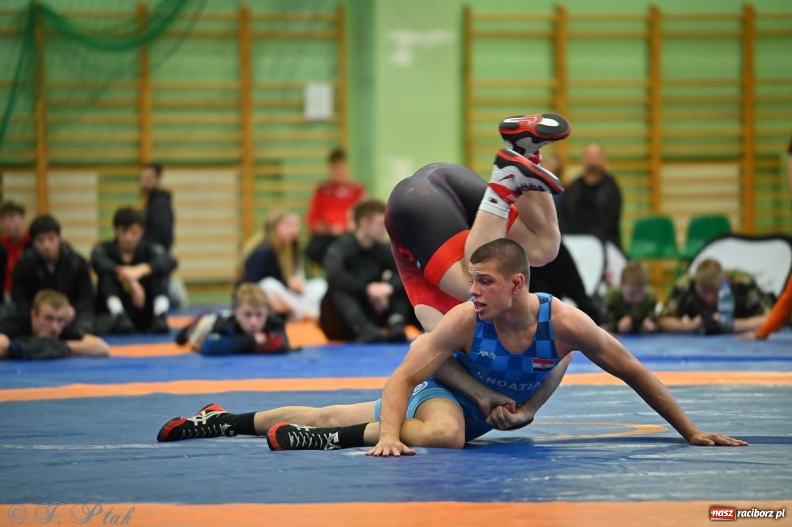 Zdjęcie w galerii na portalu naszraciborz.pl: Międzynarodowe starcie na matach. Racibórz gospodarzem Mistrzostw Polski Juniorów w zapasach klasycznych wiadomości z regionu