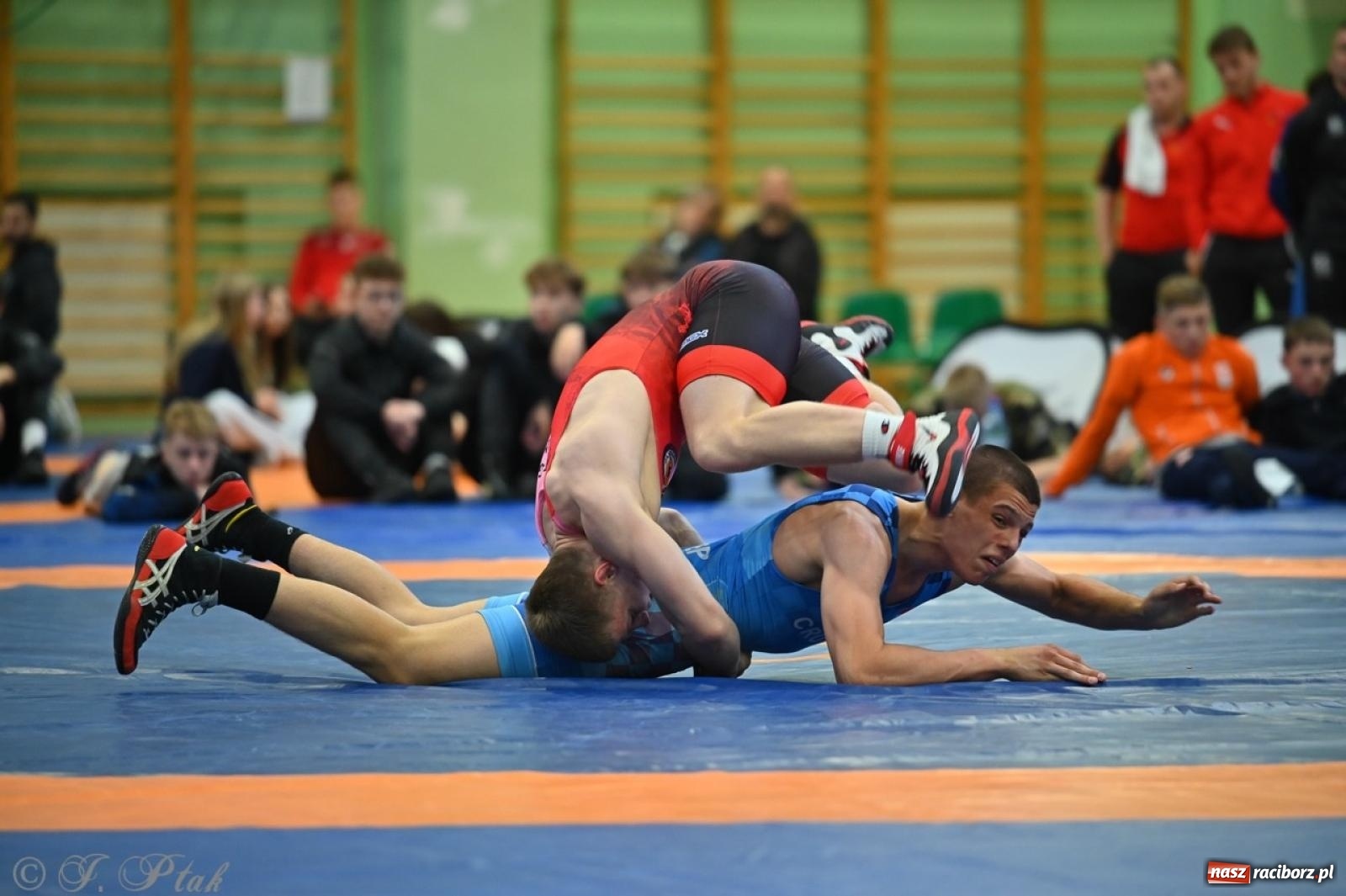 Zdjęcie w galerii na portalu naszraciborz.pl: Międzynarodowe starcie na matach. Racibórz gospodarzem Mistrzostw Polski Juniorów w zapasach klasycznych wiadomości z regionu