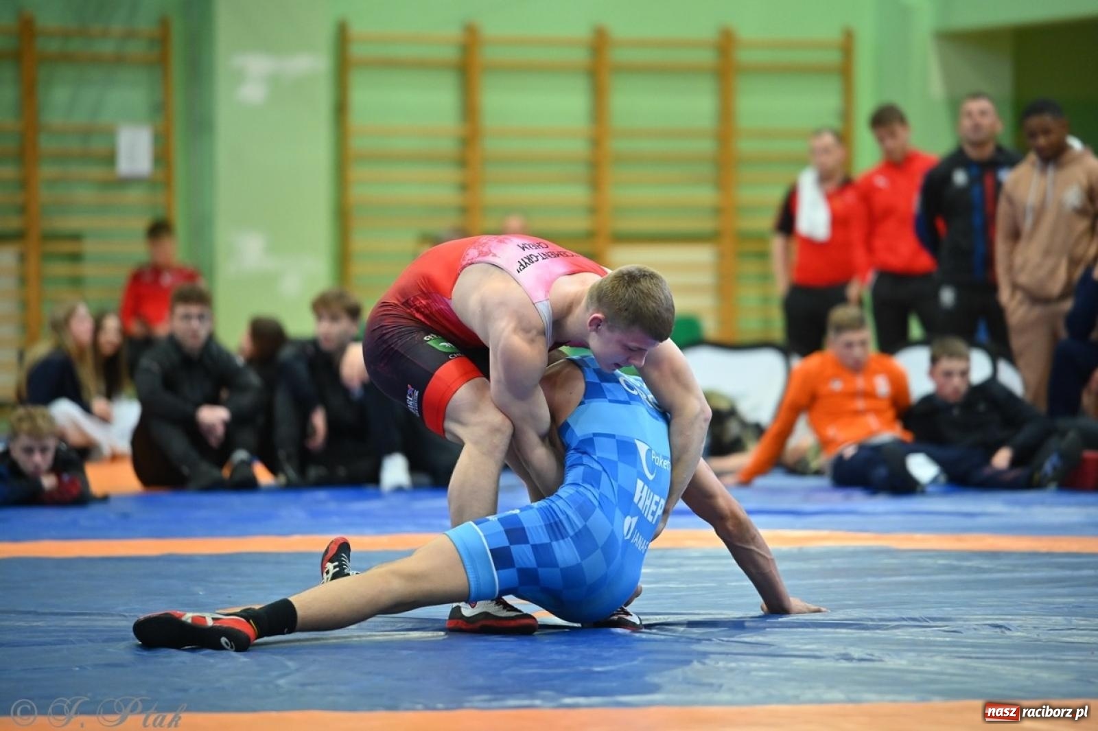Zdjęcie w galerii na portalu naszraciborz.pl: Międzynarodowe starcie na matach. Racibórz gospodarzem Mistrzostw Polski Juniorów w zapasach klasycznych wiadomości z regionu
